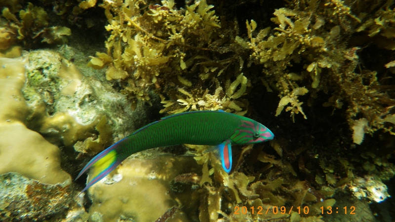 imgp0170.jpg
