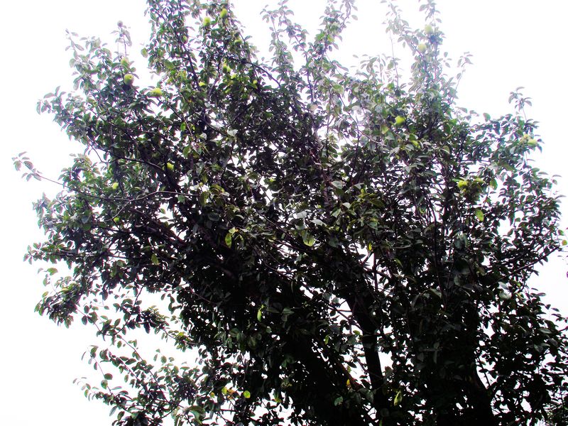 dscf5187kk.jpg