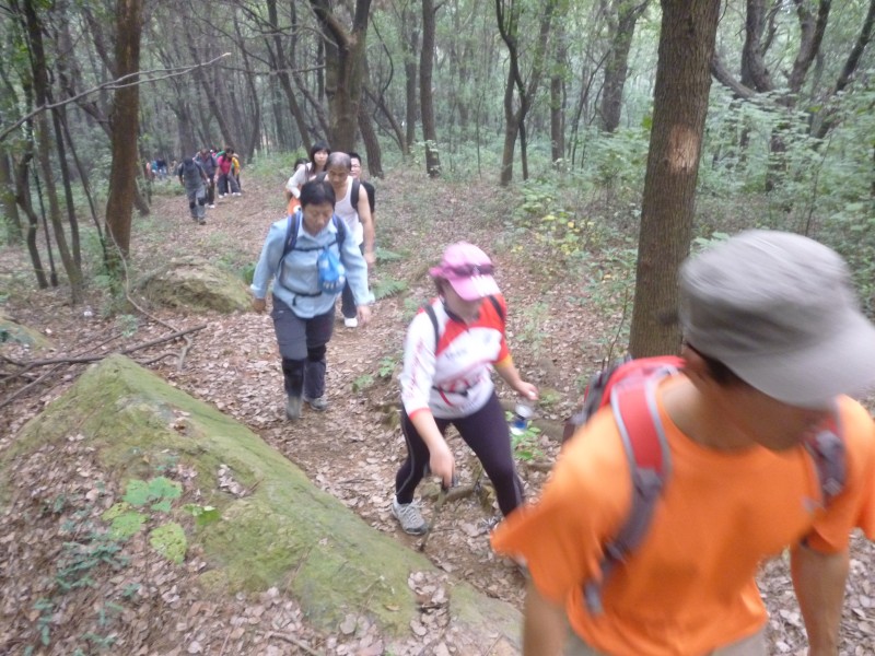 conew_p1070219.jpg