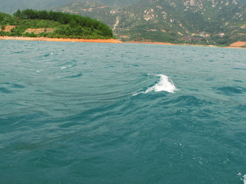1271718_2252669.jpg