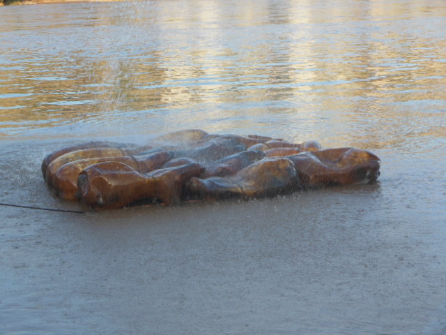 dscn2933.jpg