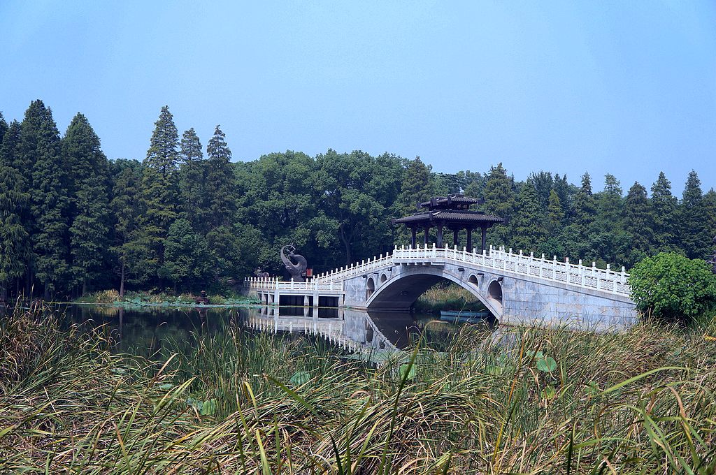 dsc03748.jpg