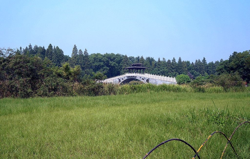 dsc03746.jpg