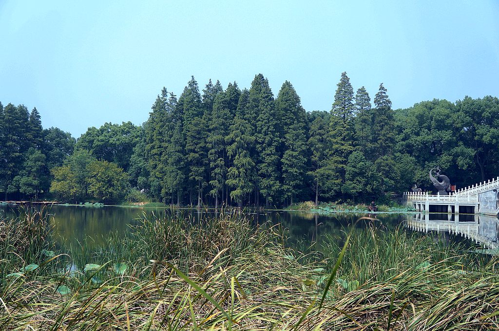 dsc03750.jpg