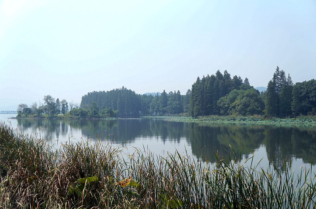 dsc03751.jpg