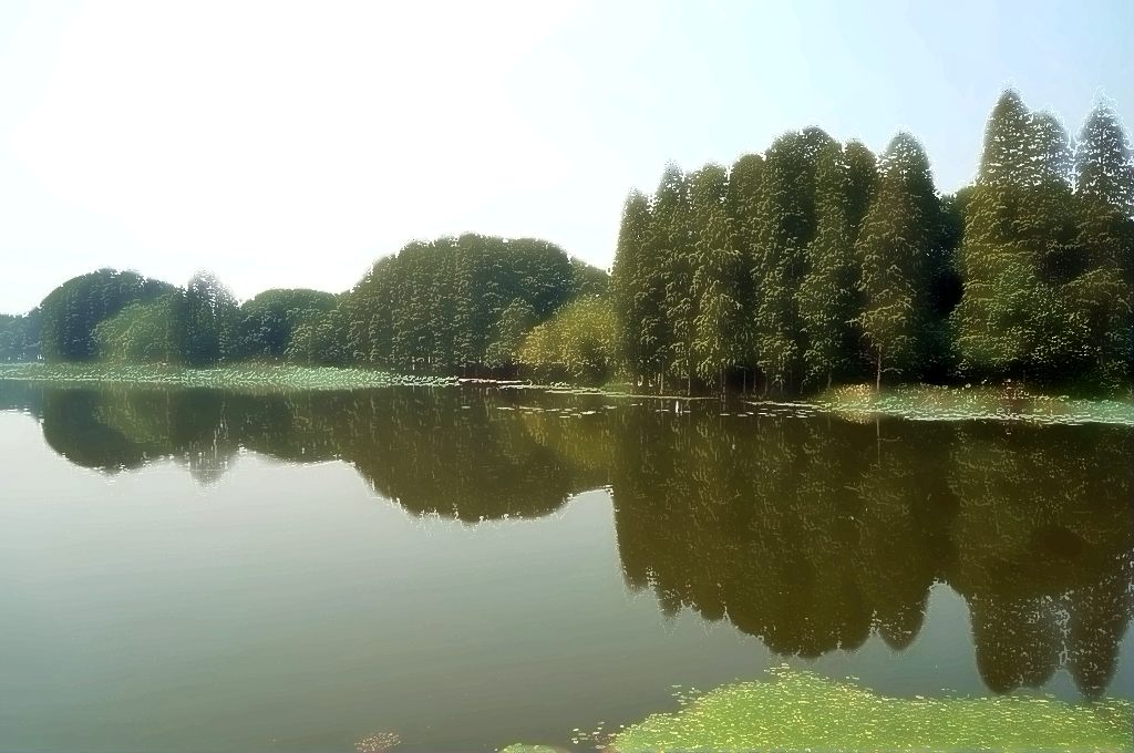 dsc03761.jpg