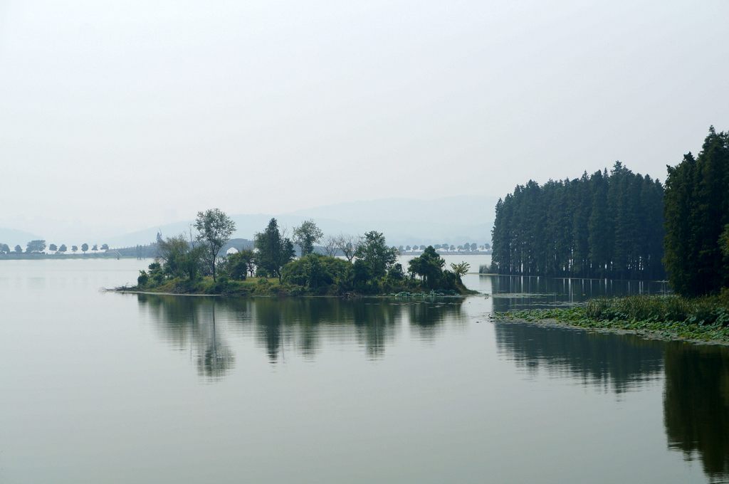 dsc03764.jpg