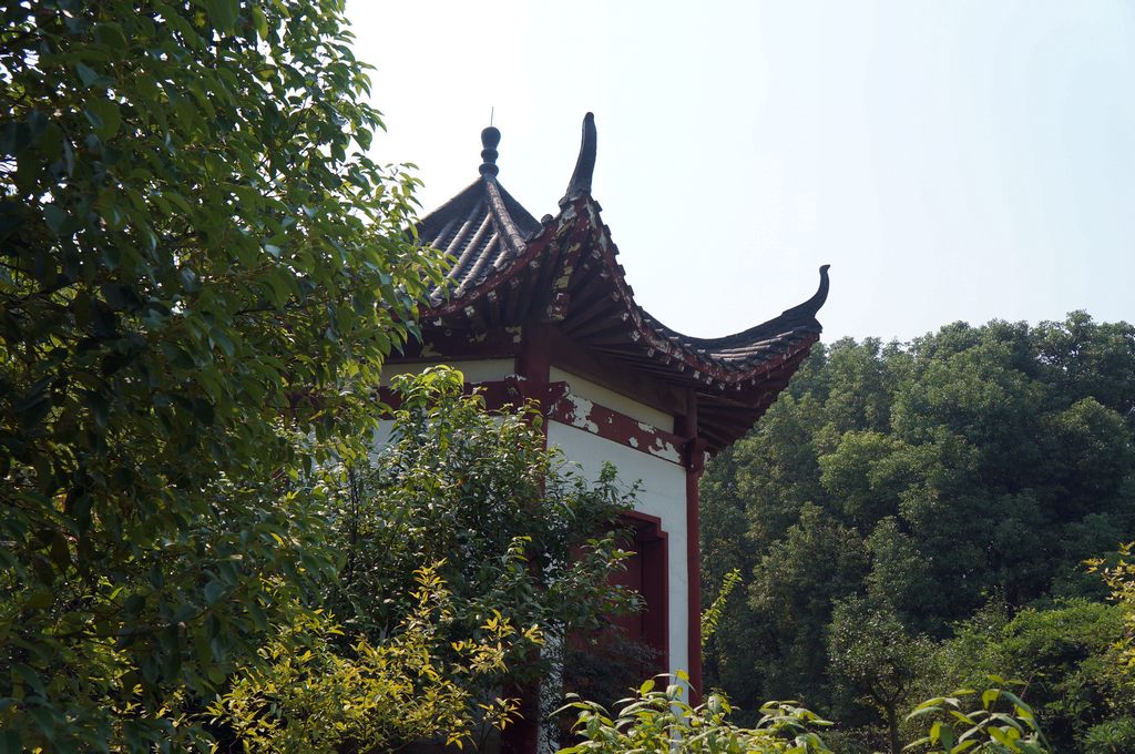 dsc03775.jpg