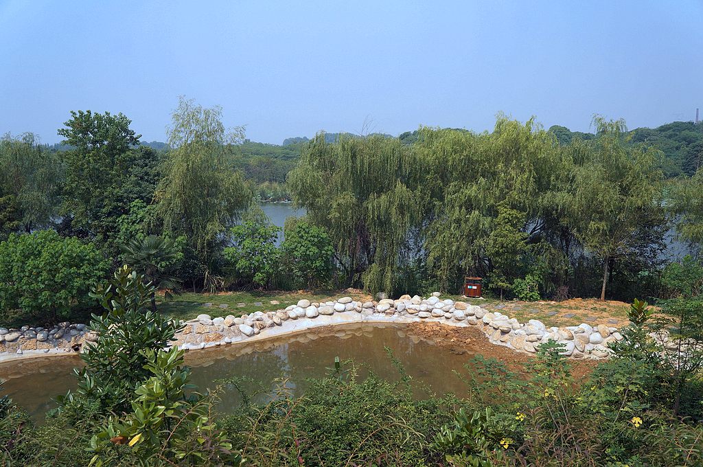 dsc03779.jpg