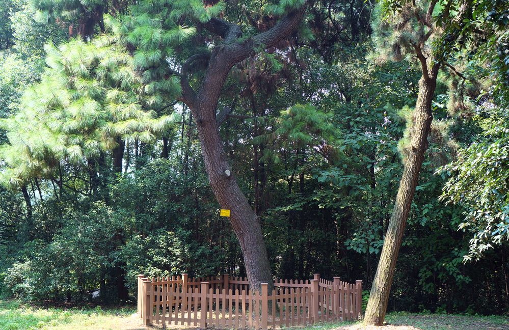 dsc03795.jpg