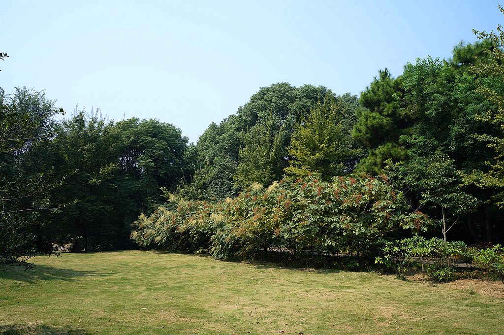 dsc03797.jpg