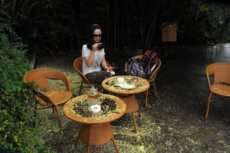Ƭ 079.jpg