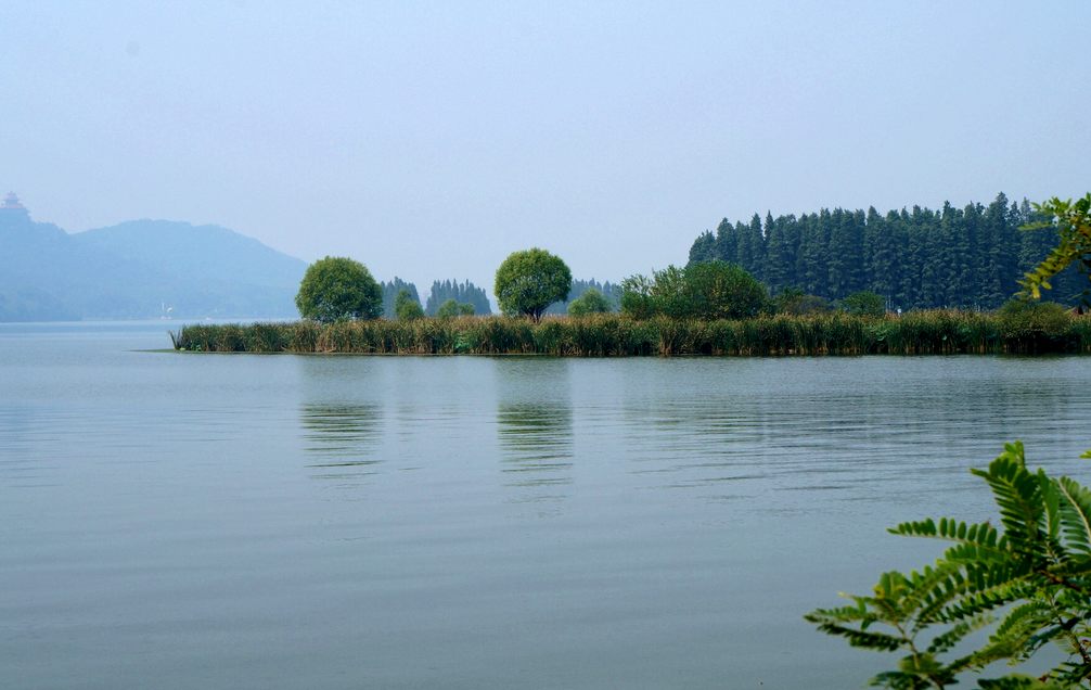 dsc03734.jpg