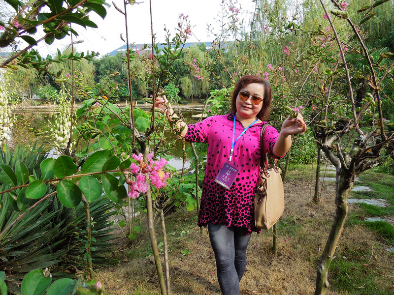 dscn2716.jpg