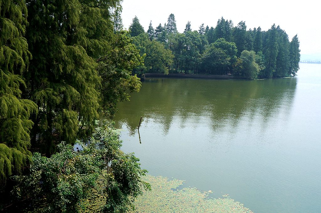 dsc03871.jpg