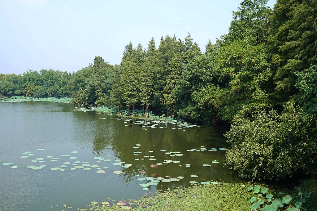 dsc03875.jpg