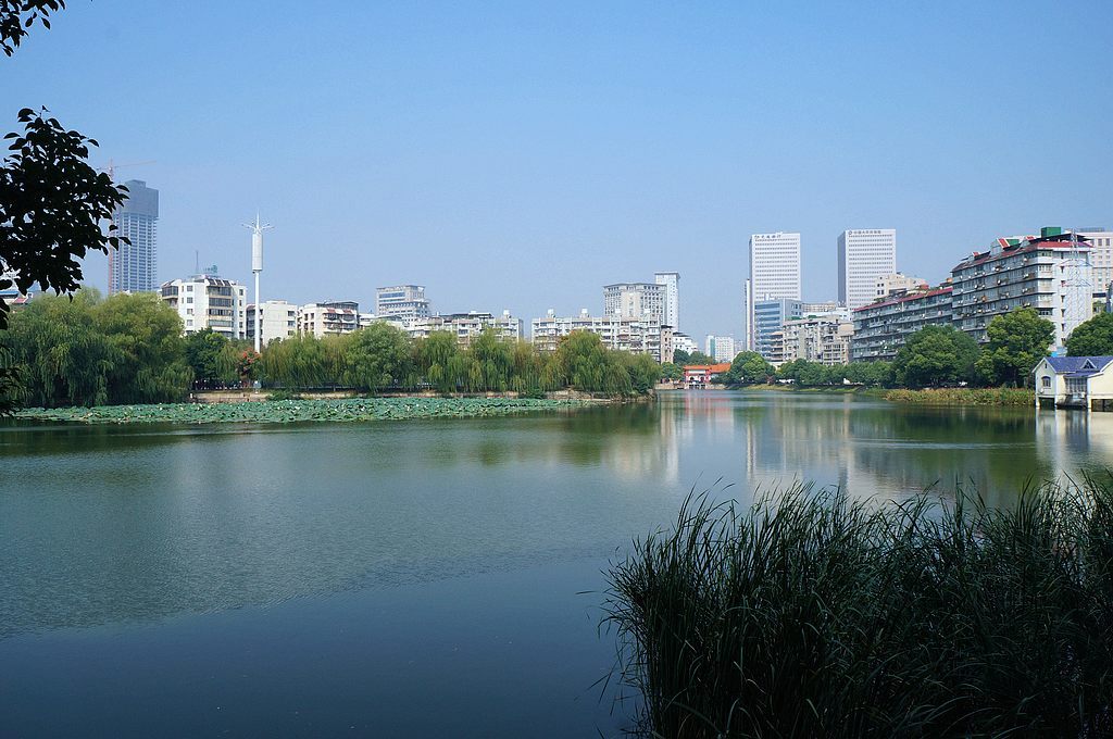 dsc04084.jpg