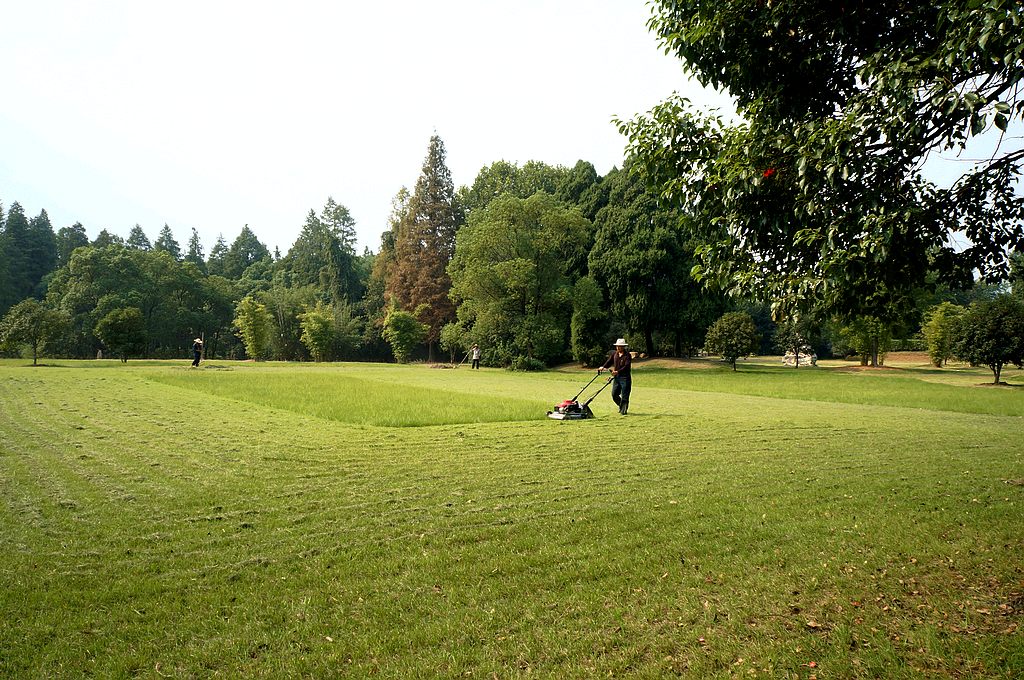 dsc04010.jpg