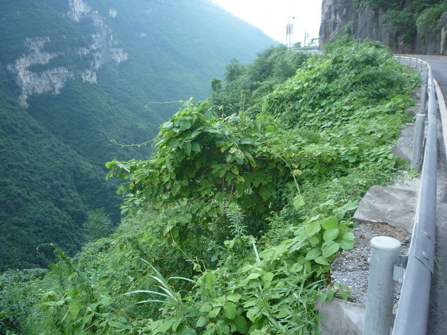 p1120749.jpg