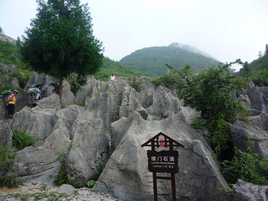 p1120800.jpg