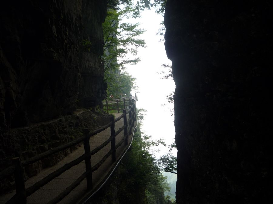 p1120830.jpg