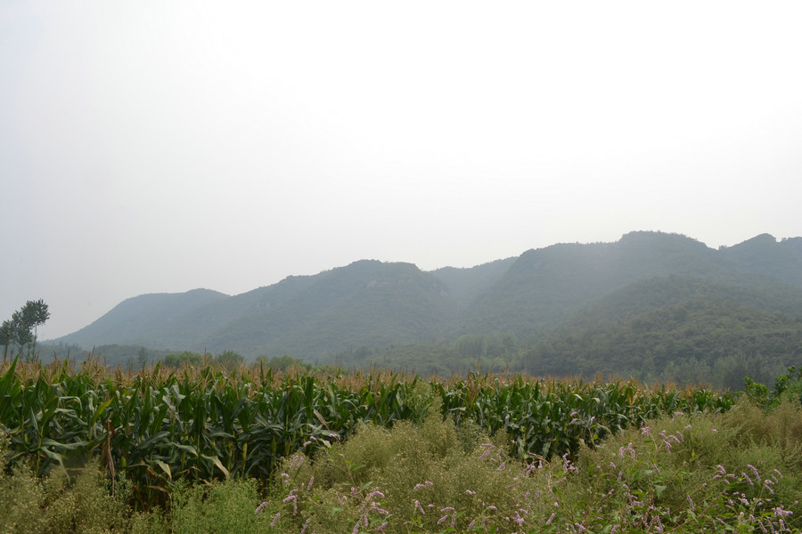 dsc_0170.jpg