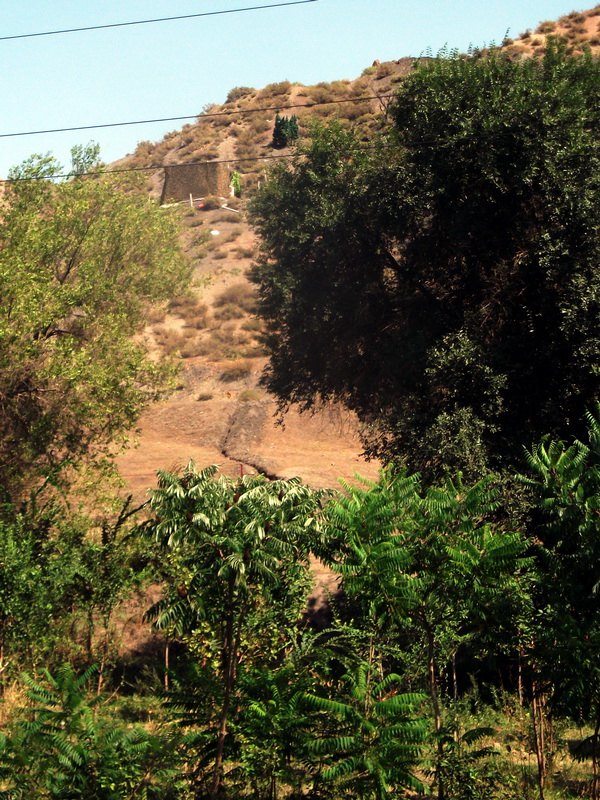 dscf0090.jpg