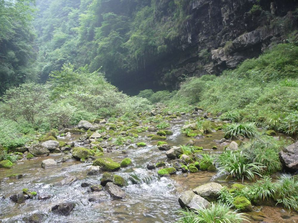 p1120104.jpg