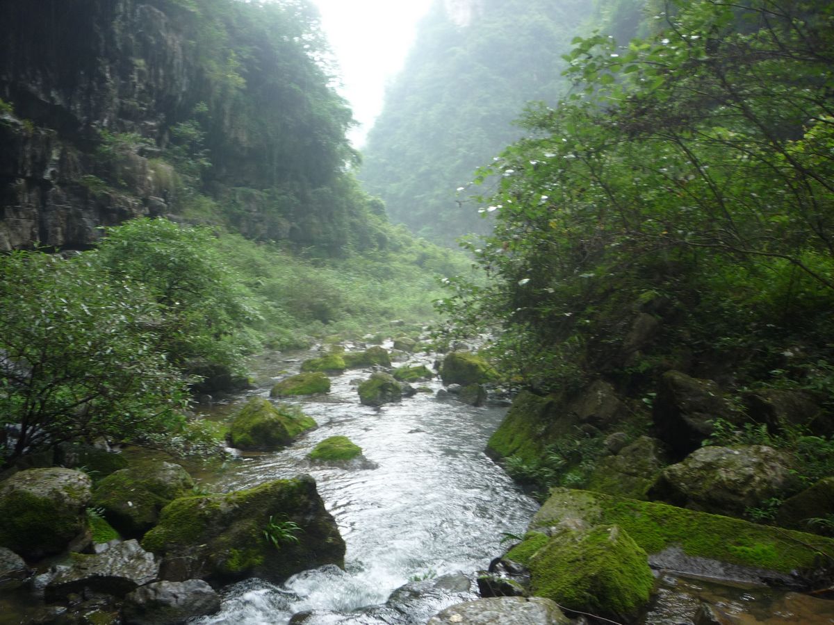 p1120110.jpg