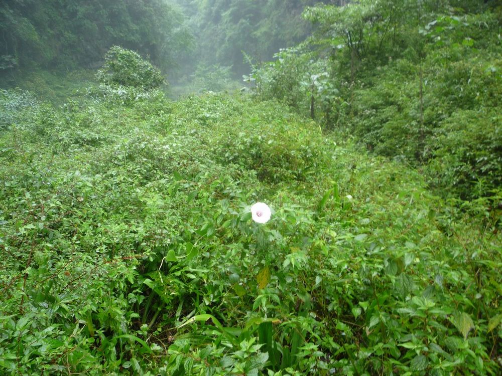 p1120112.jpg
