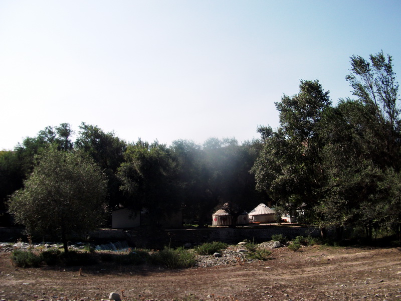 dscf0109.jpg