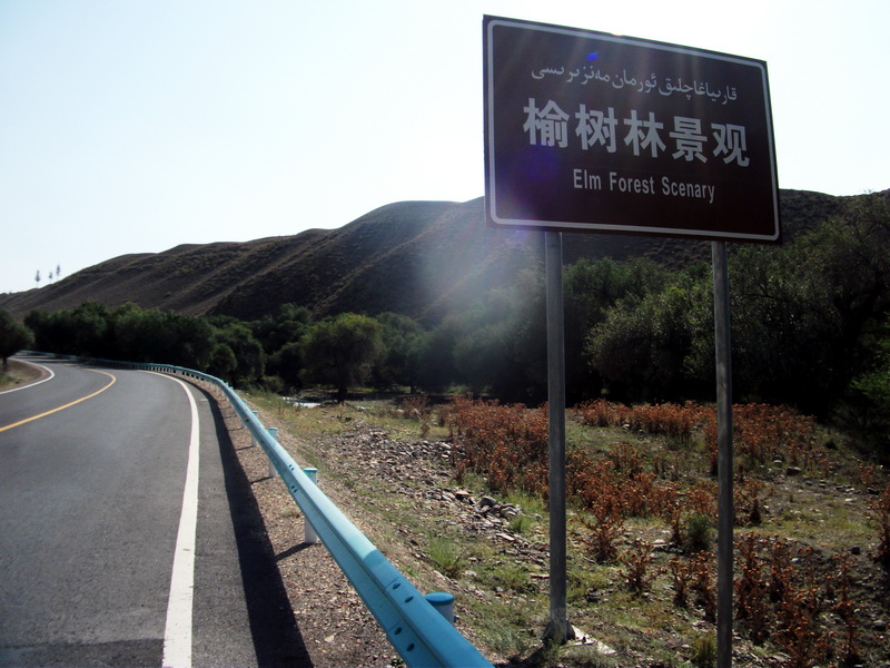 dscf0111.jpg