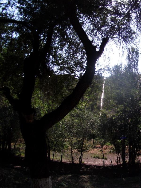 dscf0114.jpg