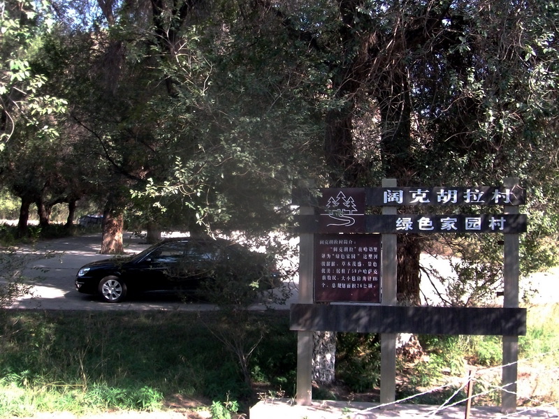 dscf0115.jpg