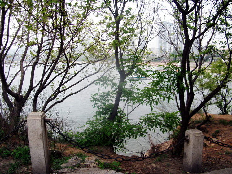 dscf0310.jpg
