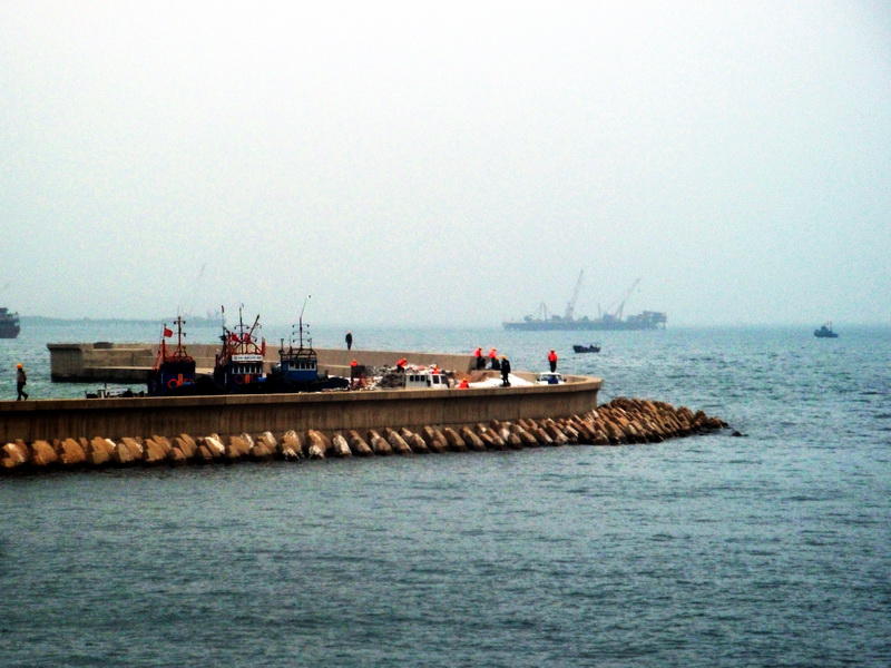 dscf0315.jpg