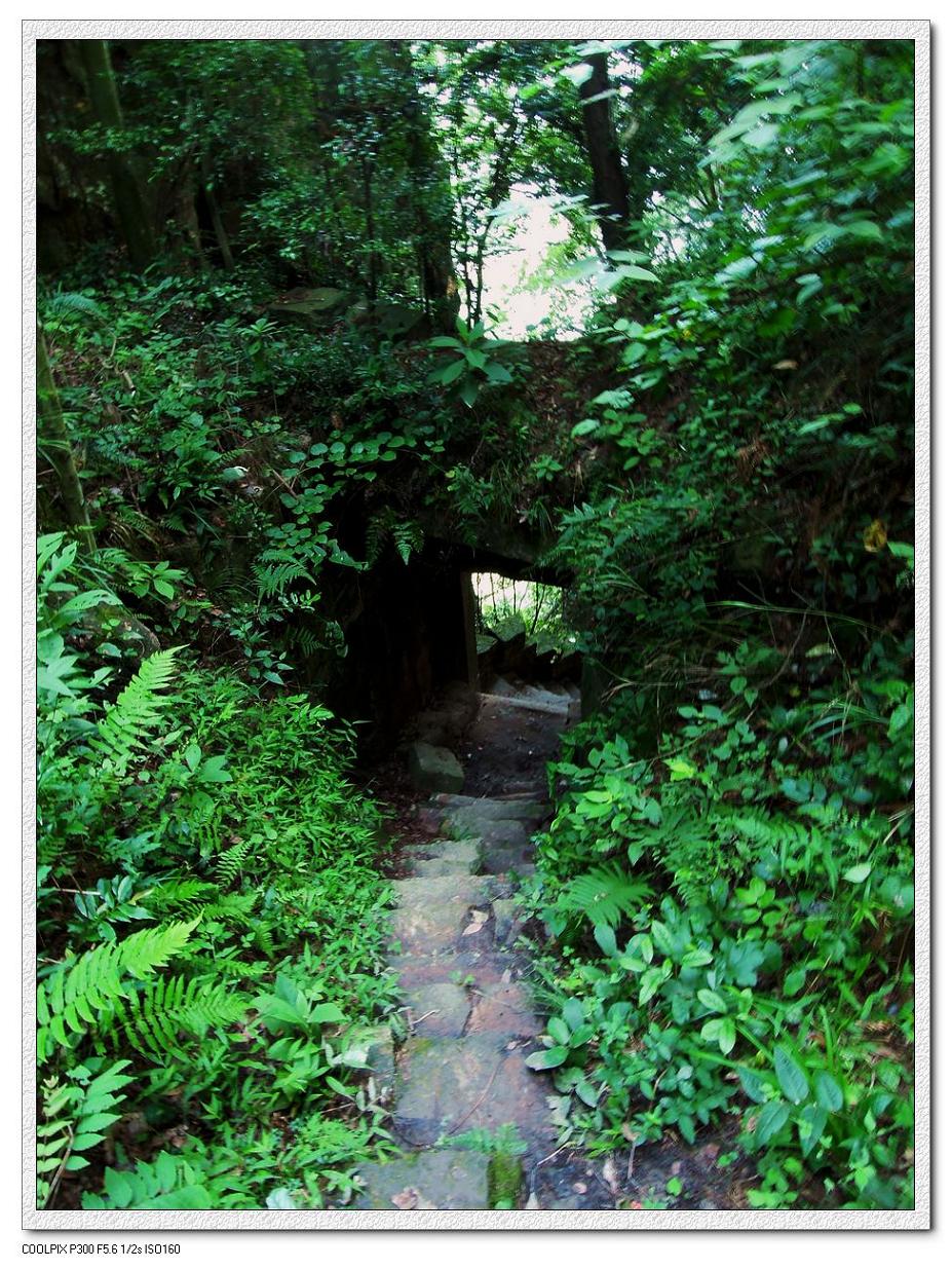 neo_img_2012.08.10 ʩ֮_ľկ- (40).jpg