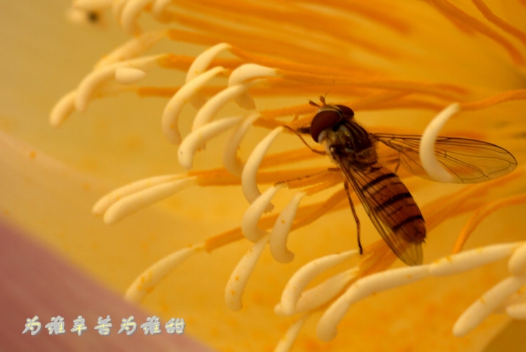 img_8307_conew2.jpg