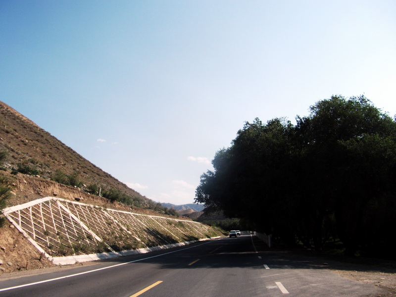 dscf0119.jpg