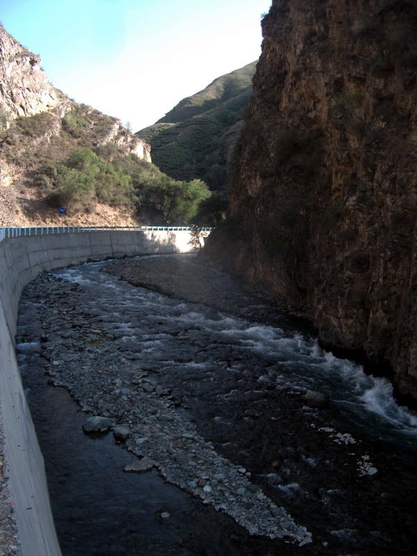 dscf0131.jpg