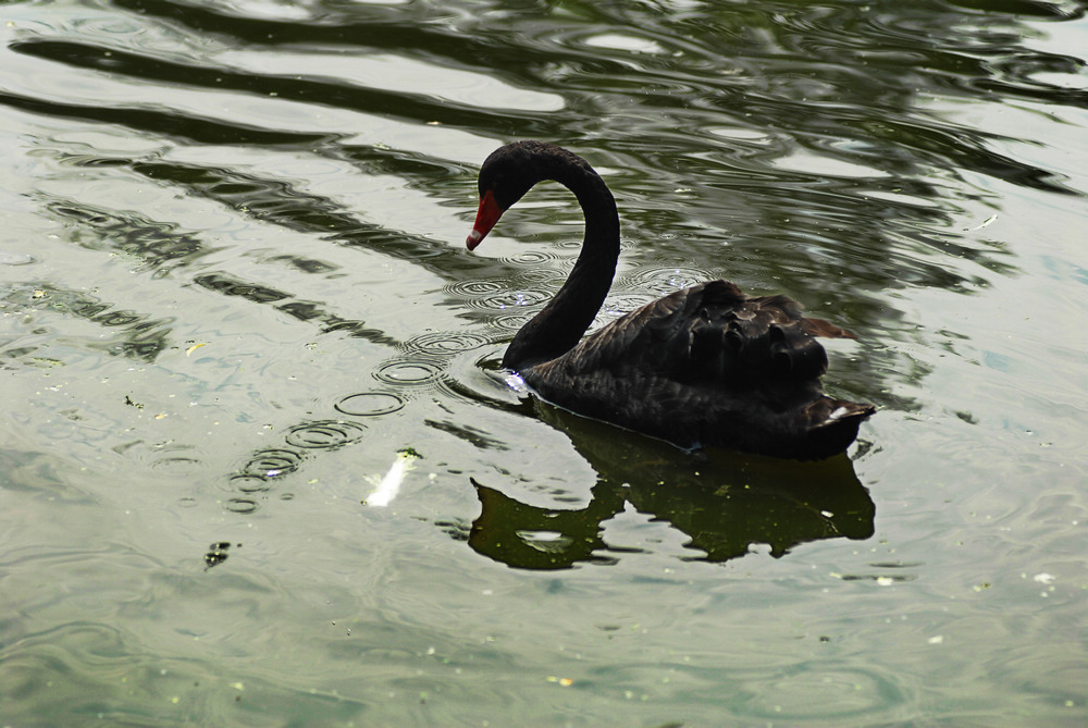 dsc_4783.jpg