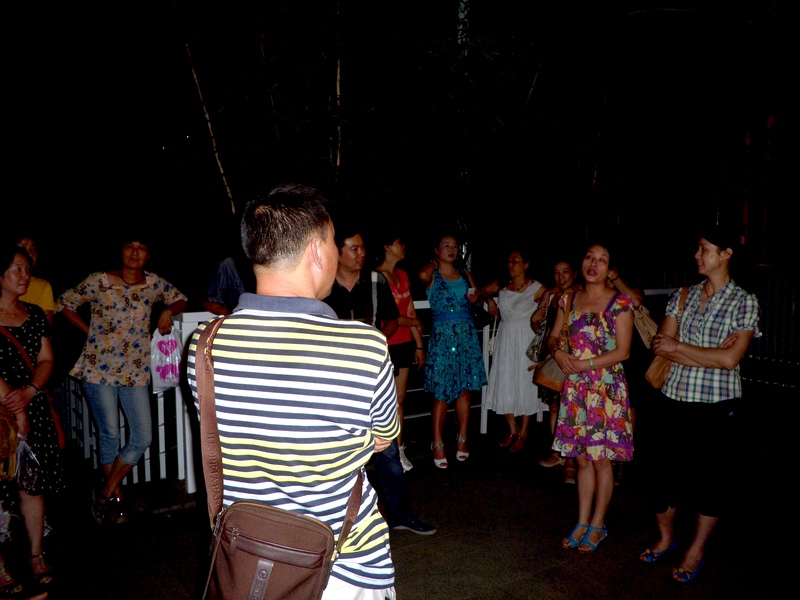 dscn5217.jpg