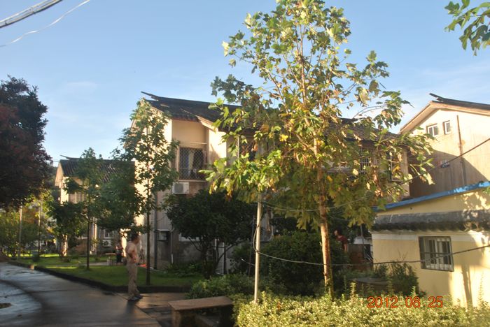 dsc_4989.jpg