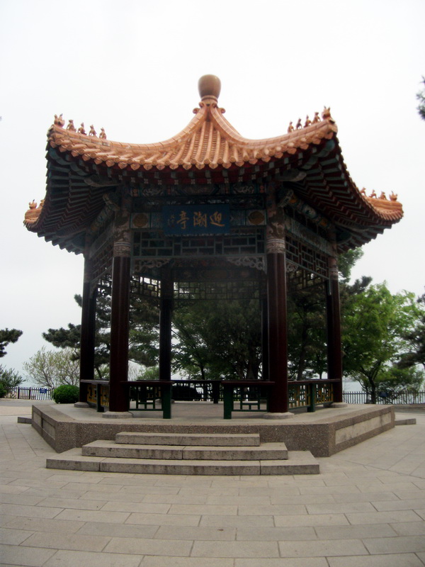 dscf0339.jpg