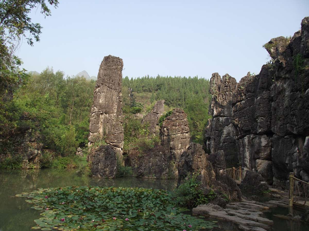 dscf0630_Ŀѹ.jpg