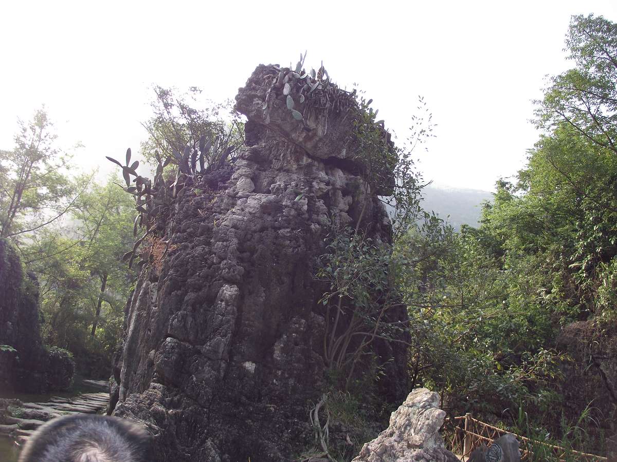 dscf0635_Ŀѹ.jpg