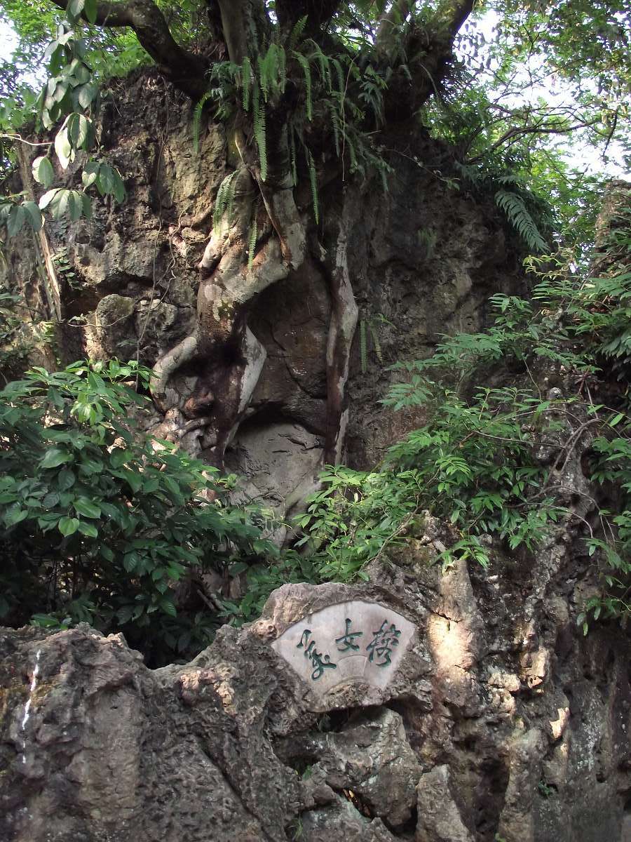 dscf0644_Ŀѹ.jpg