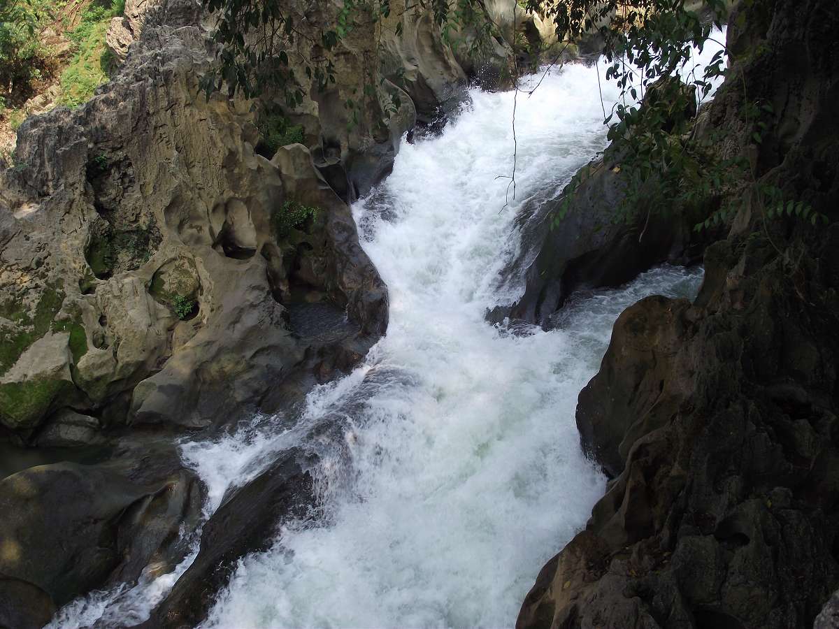 dscf0686_Ŀѹ.jpg
