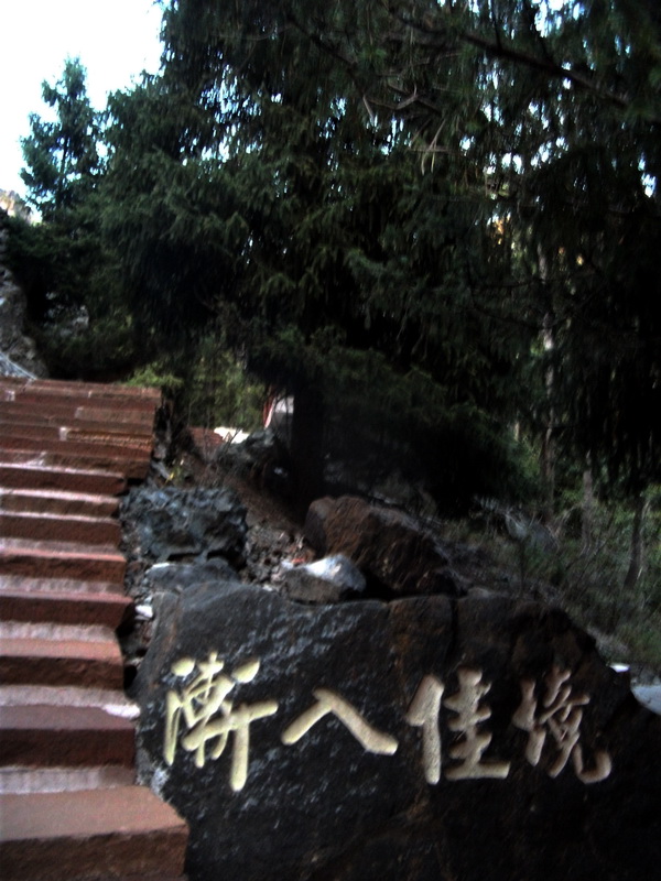 dscf0169.jpg