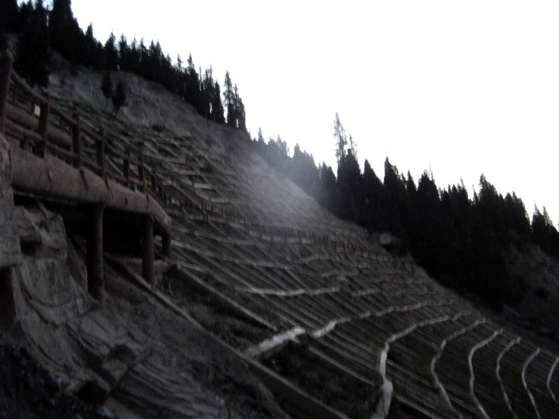 dscf0181.jpg